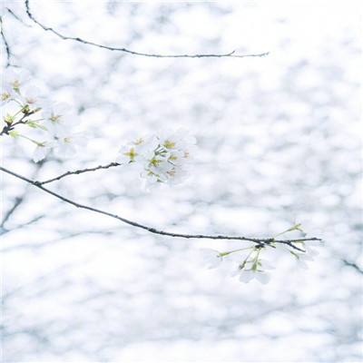 果盘摸金校尉之伏魔殿手游下载