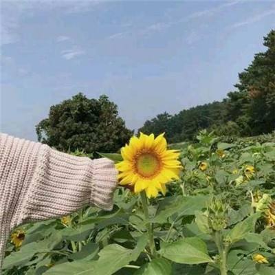穿越火线枪战王者九游版下载