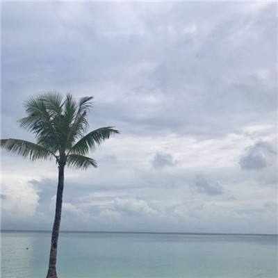 二战指挥官破解版下载